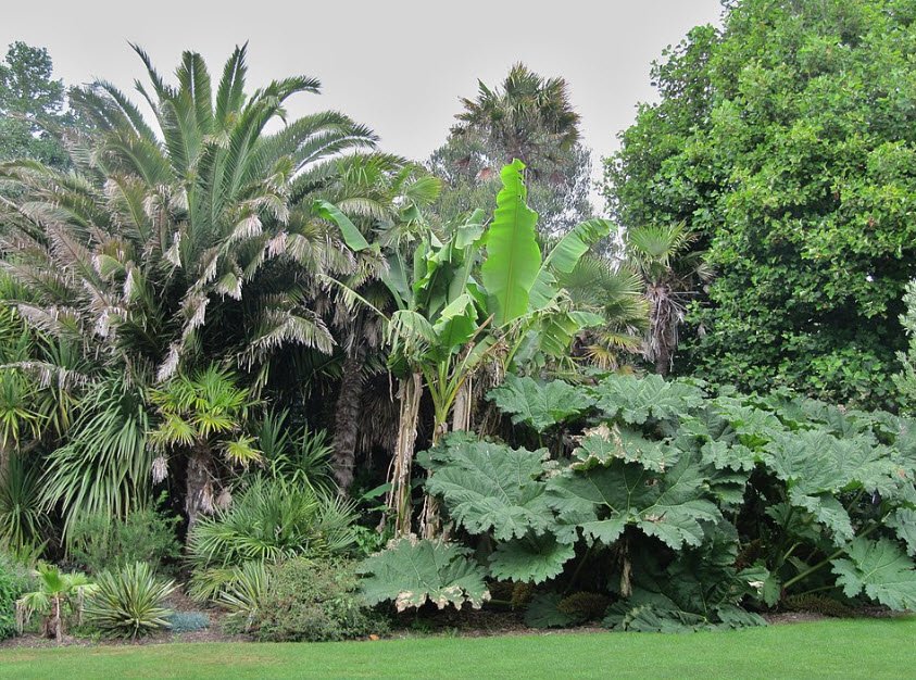 Morrab Gardens, United Kingdom